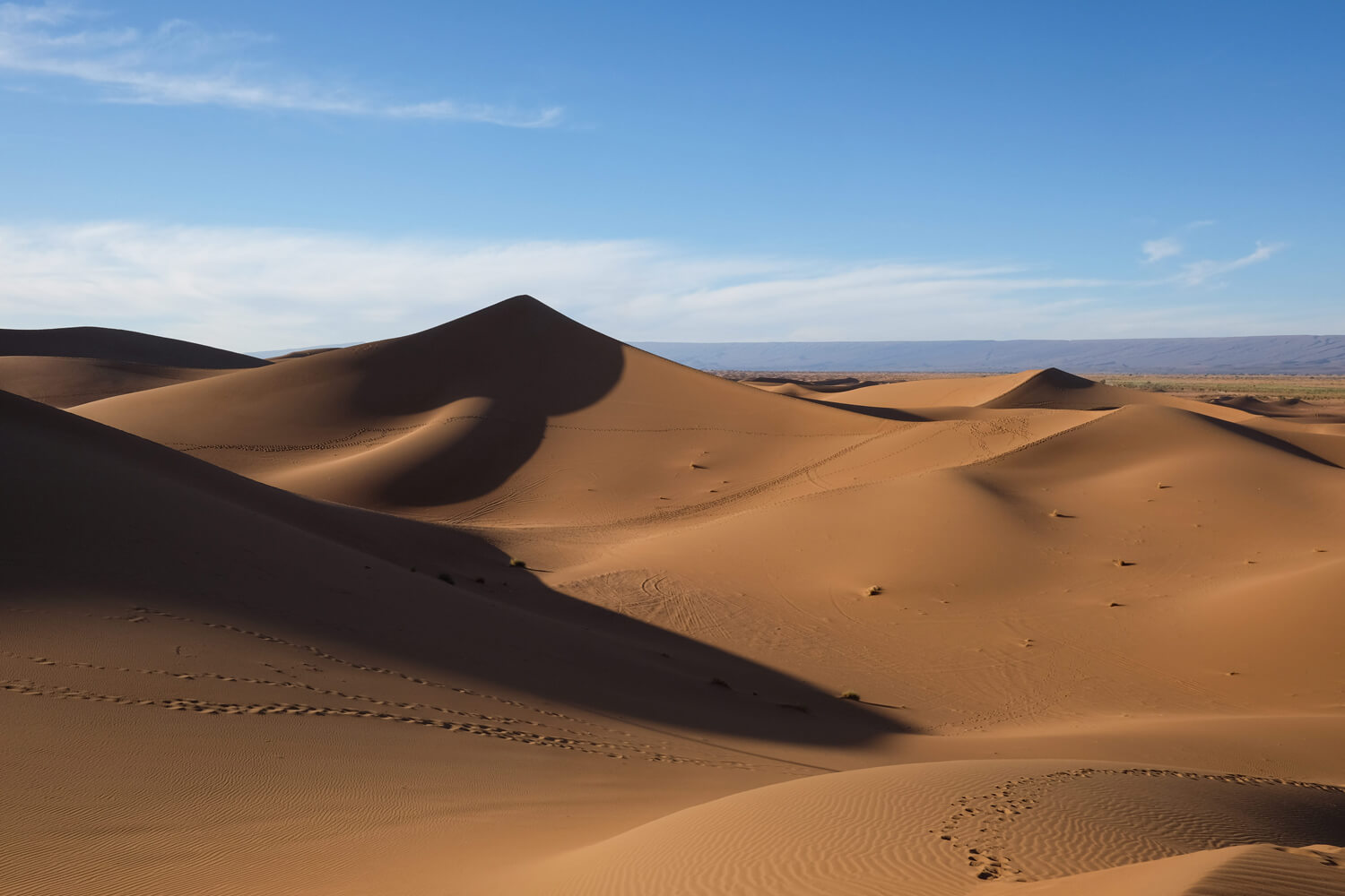 MAROCCO // Il deserto del Sahara