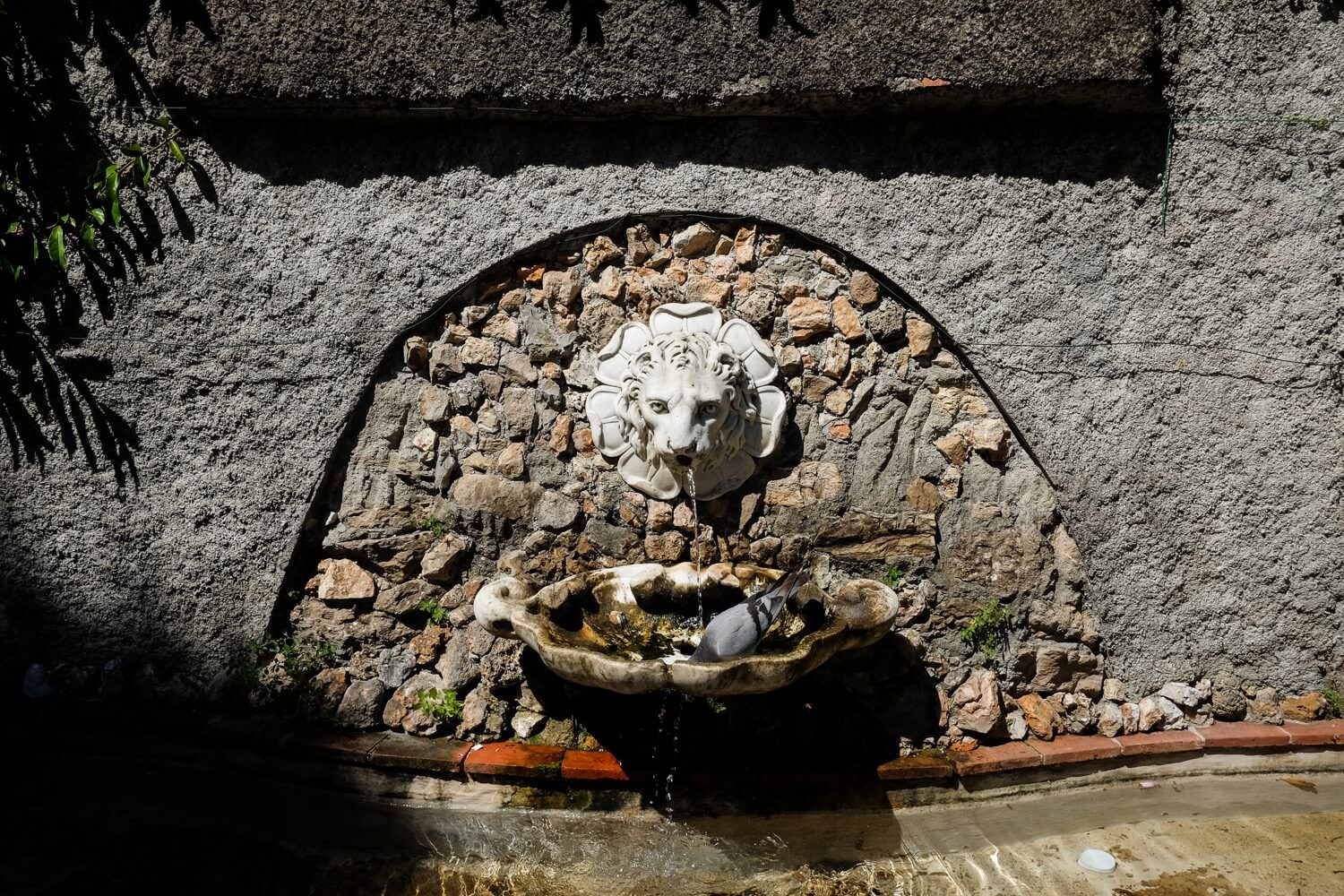 Lucca