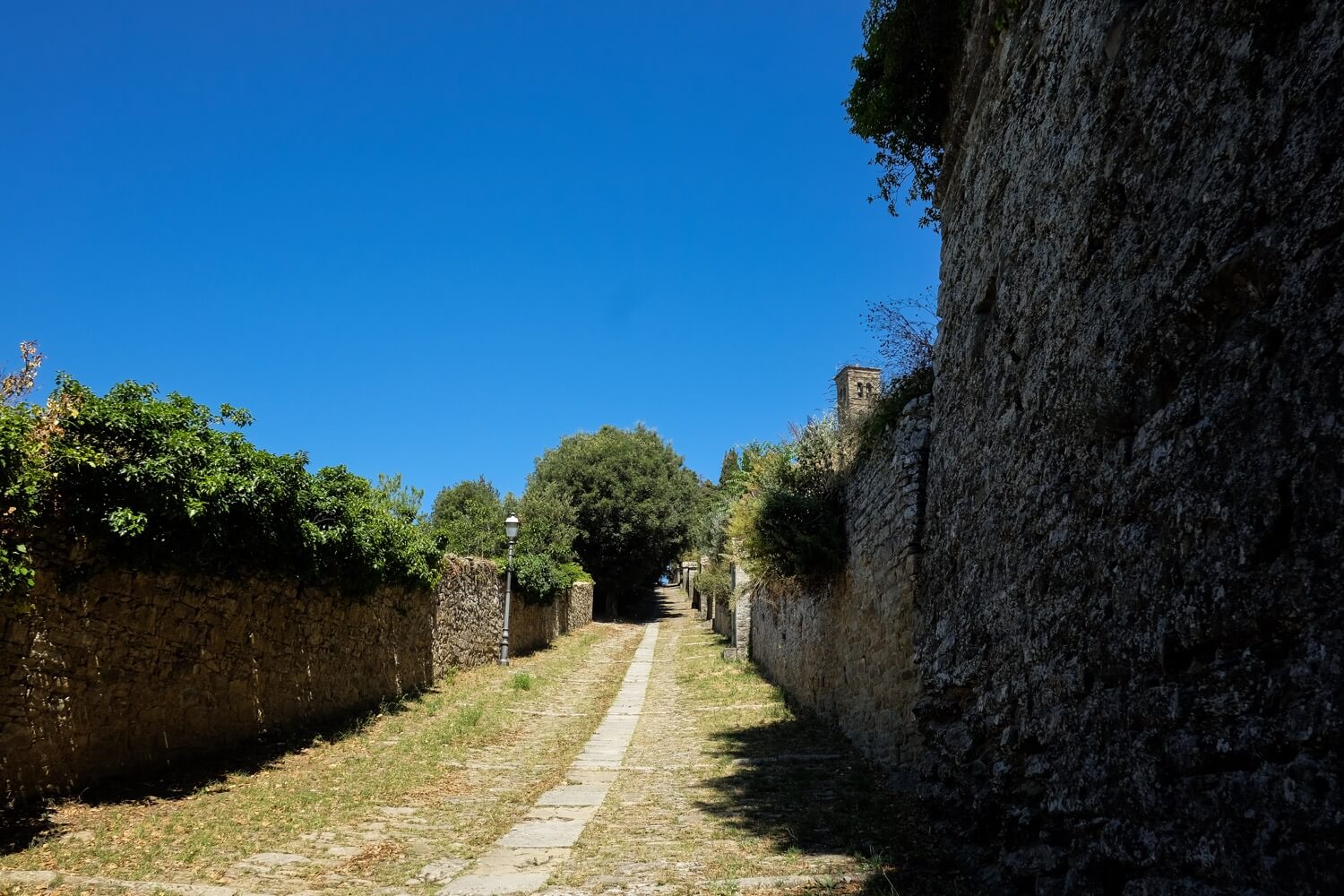 cortona
