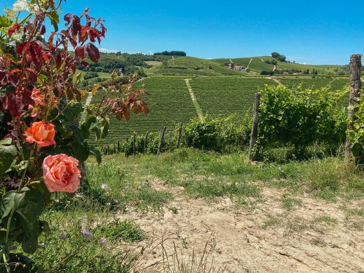 langhe