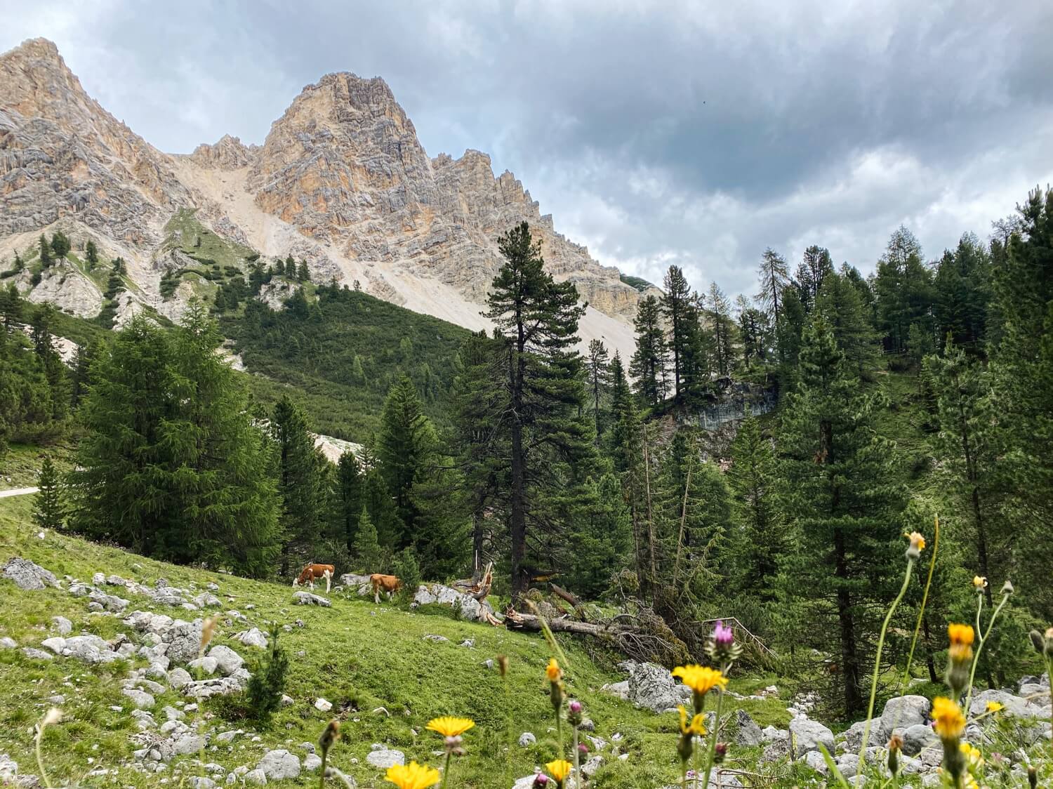 Val Pusteria 