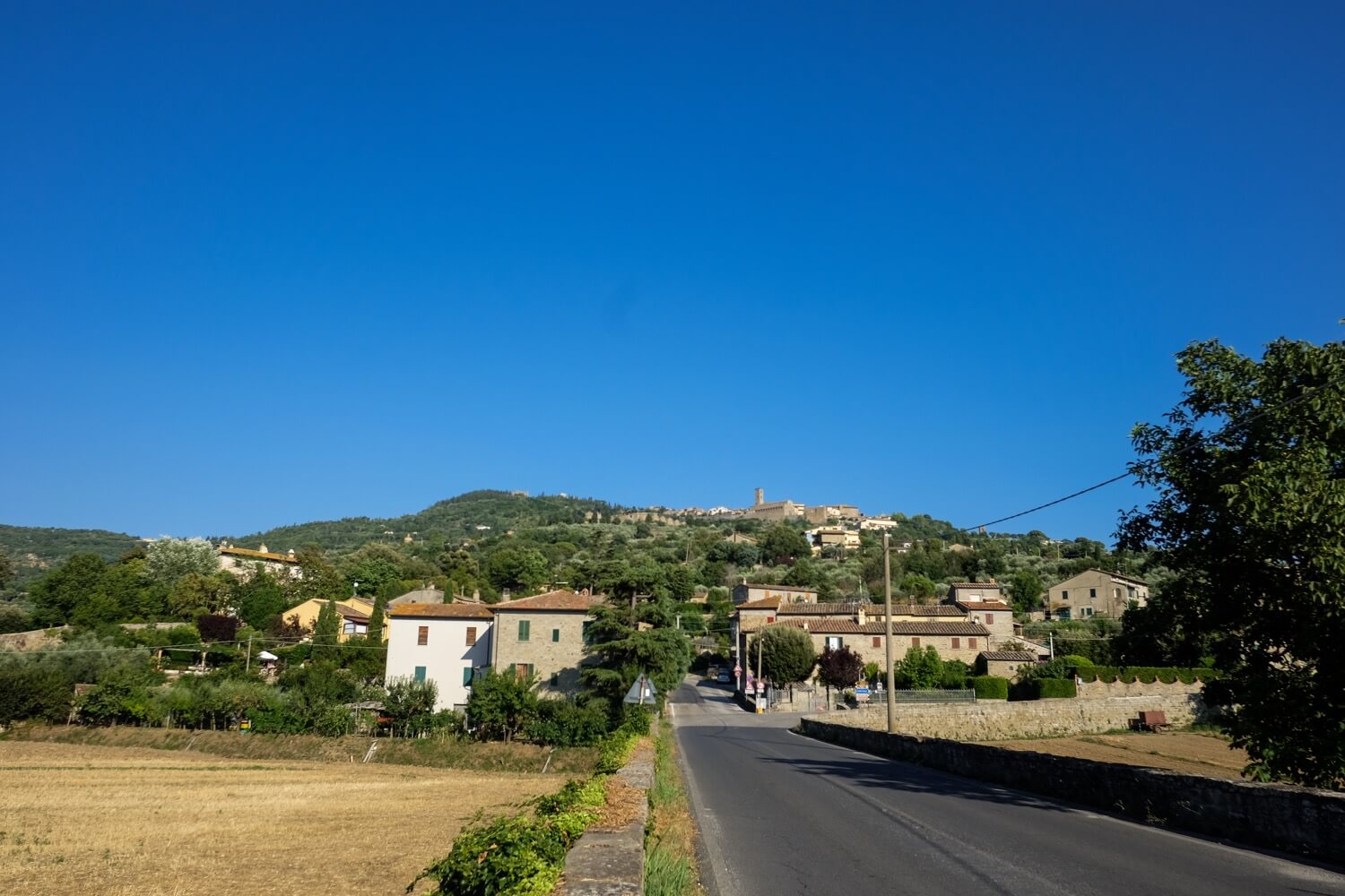 cortona