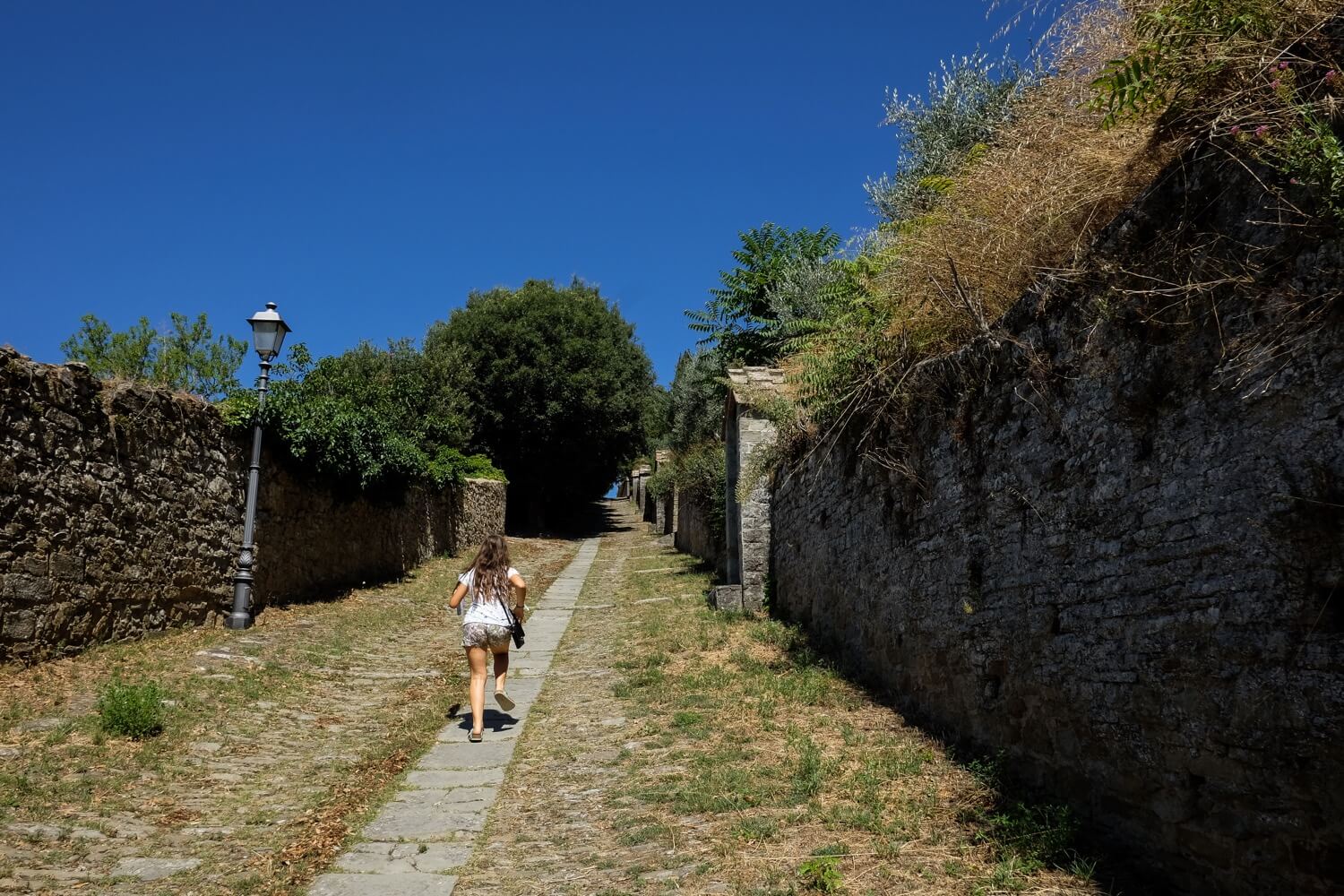 cortona