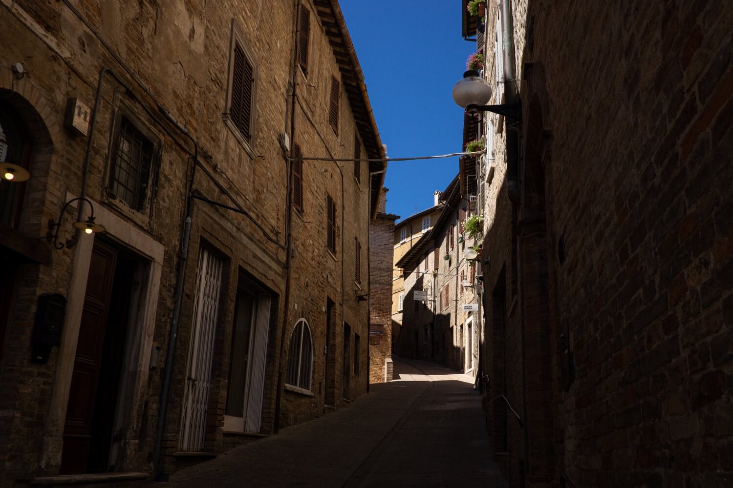 urbino