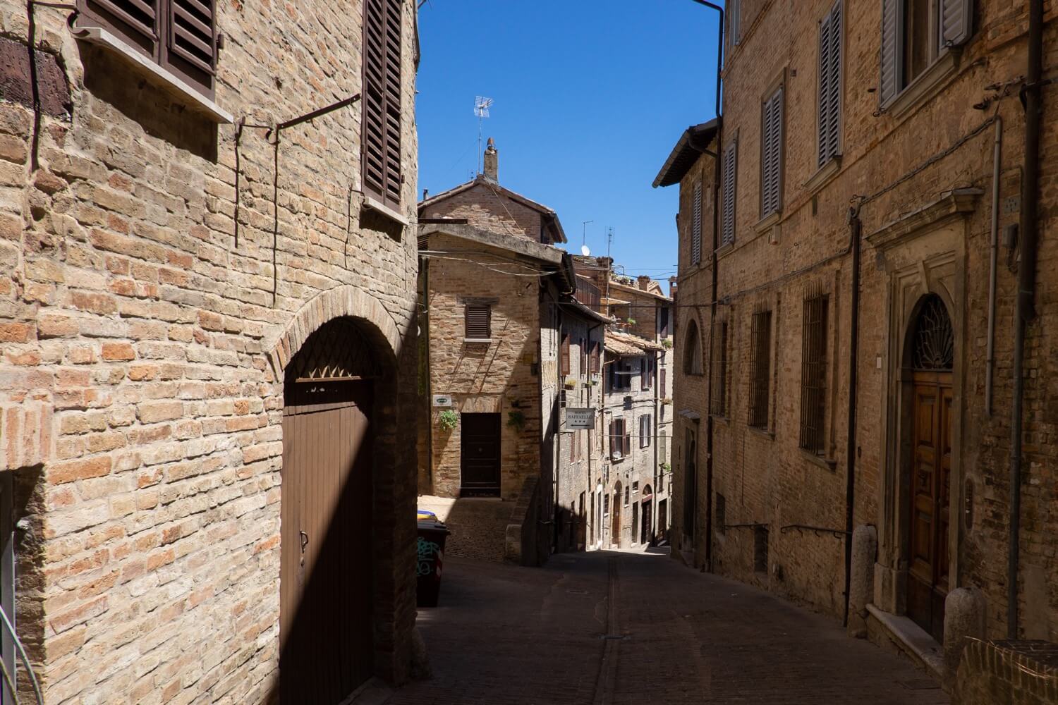 urbino