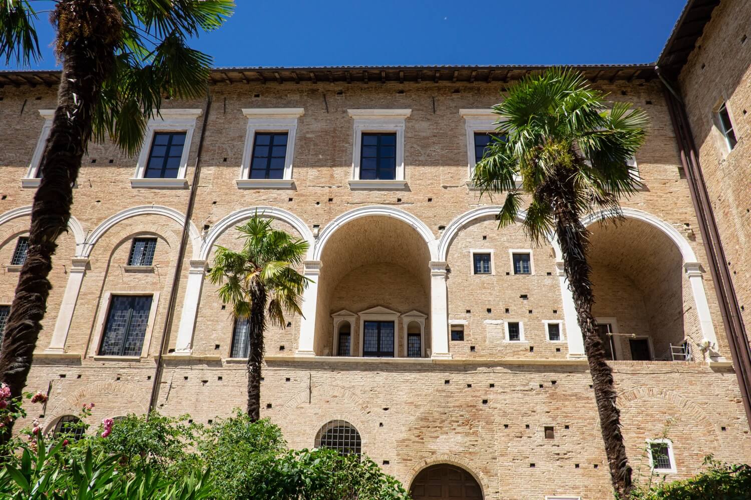 urbino