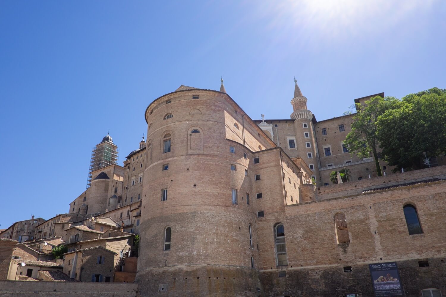 urbino