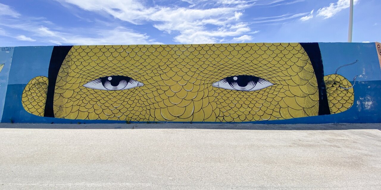 STREET ART, CIVINATOVA MARCHE // VEDO A COLORI