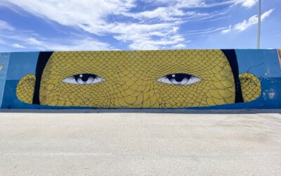 STREET ART, CIVINATOVA MARCHE // VEDO A COLORI
