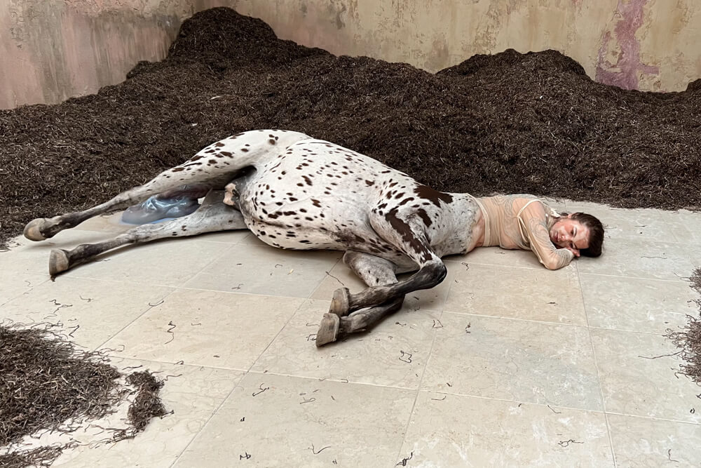 LA BIENNALE DI VENEZIA