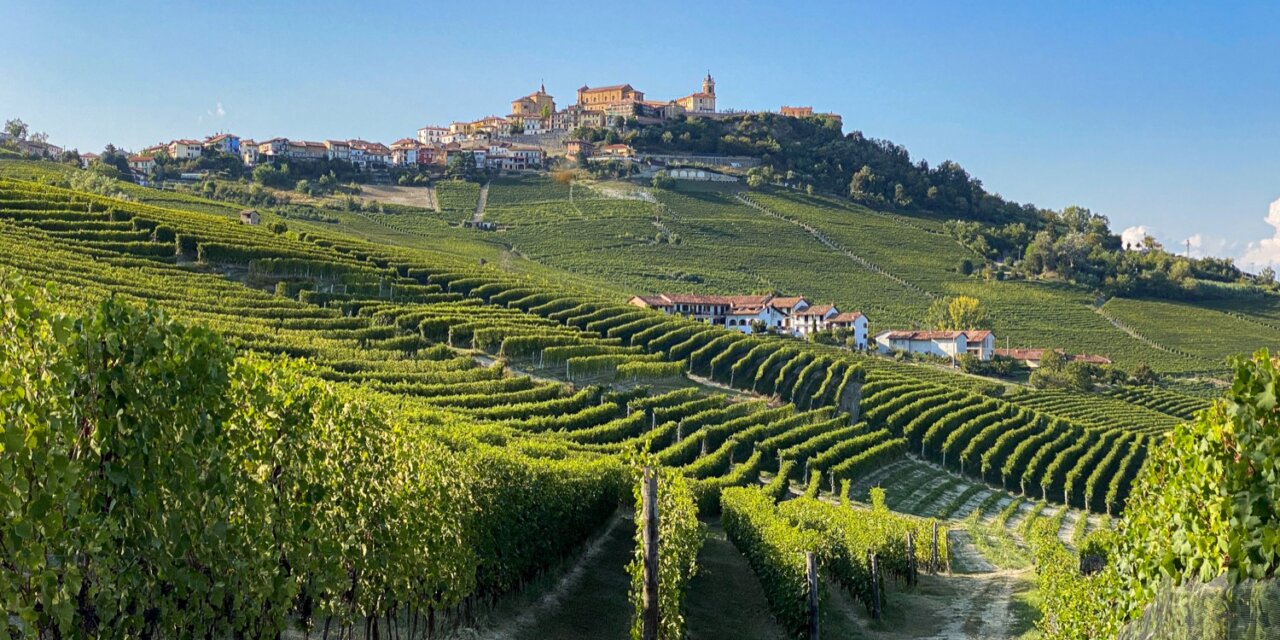 La Morra // Langhe e Roero