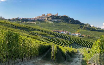 La Morra // Langhe e Roero