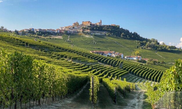 La Morra // Langhe e Roero