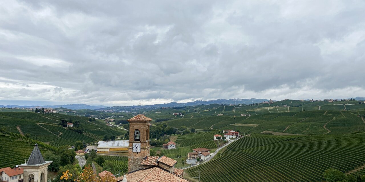 Barolo e Museo del Vino // Langhe e Roero