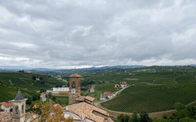 Barolo e Museo del Vino // Langhe e Roero