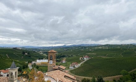 Barolo e Museo del Vino // Langhe e Roero