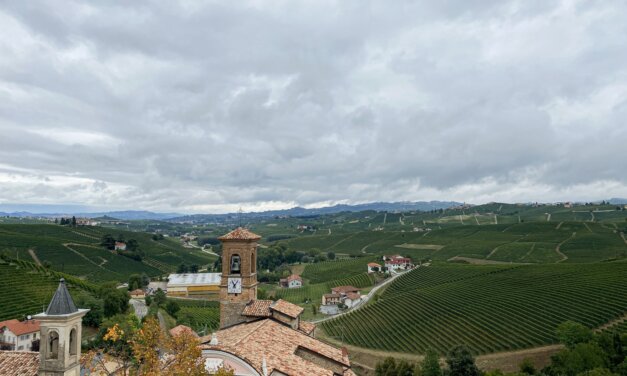 Barolo e Museo del Vino // Langhe e Roero