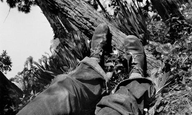 Le più belle citazioni sulla fotografia