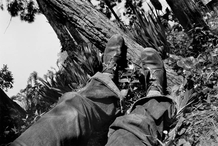 Le più belle citazioni sulla fotografia