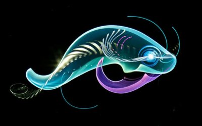 Fotografia // Light painting