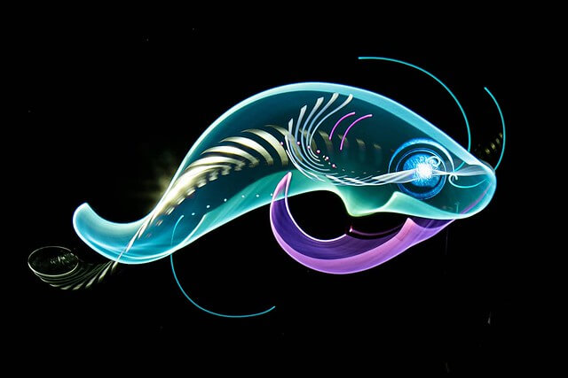Fotografia // Light painting