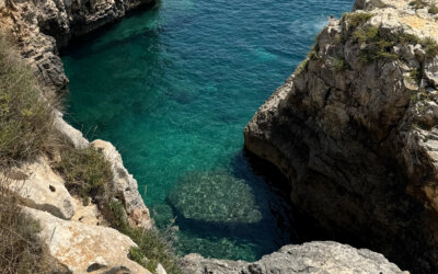CROAZIA // Cape Kamenjak