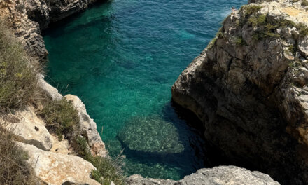 CROAZIA // Cape Kamenjak