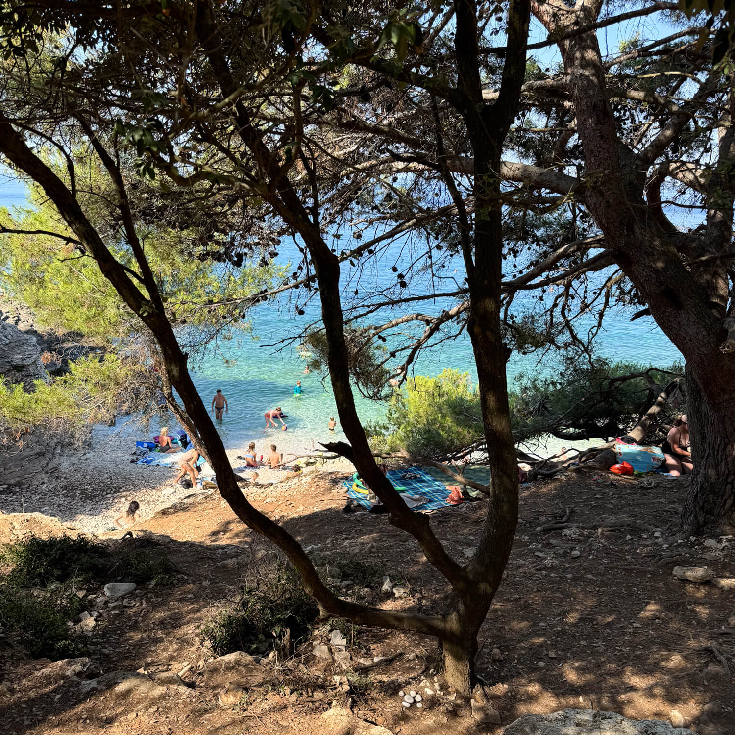 cape kamenjak
