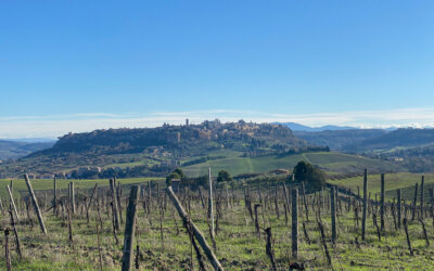 ITALIA // ORVIETO