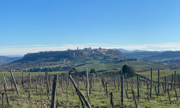 ITALIA // ORVIETO