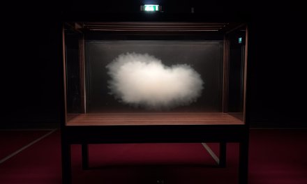 Artisti //Leandro Erlich