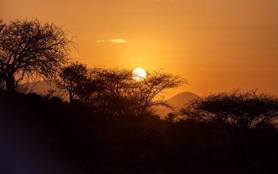 Kenya // Parco nazionale di Amboseli