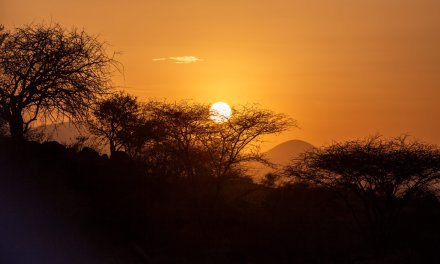 Kenya // Parco nazionale di Amboseli